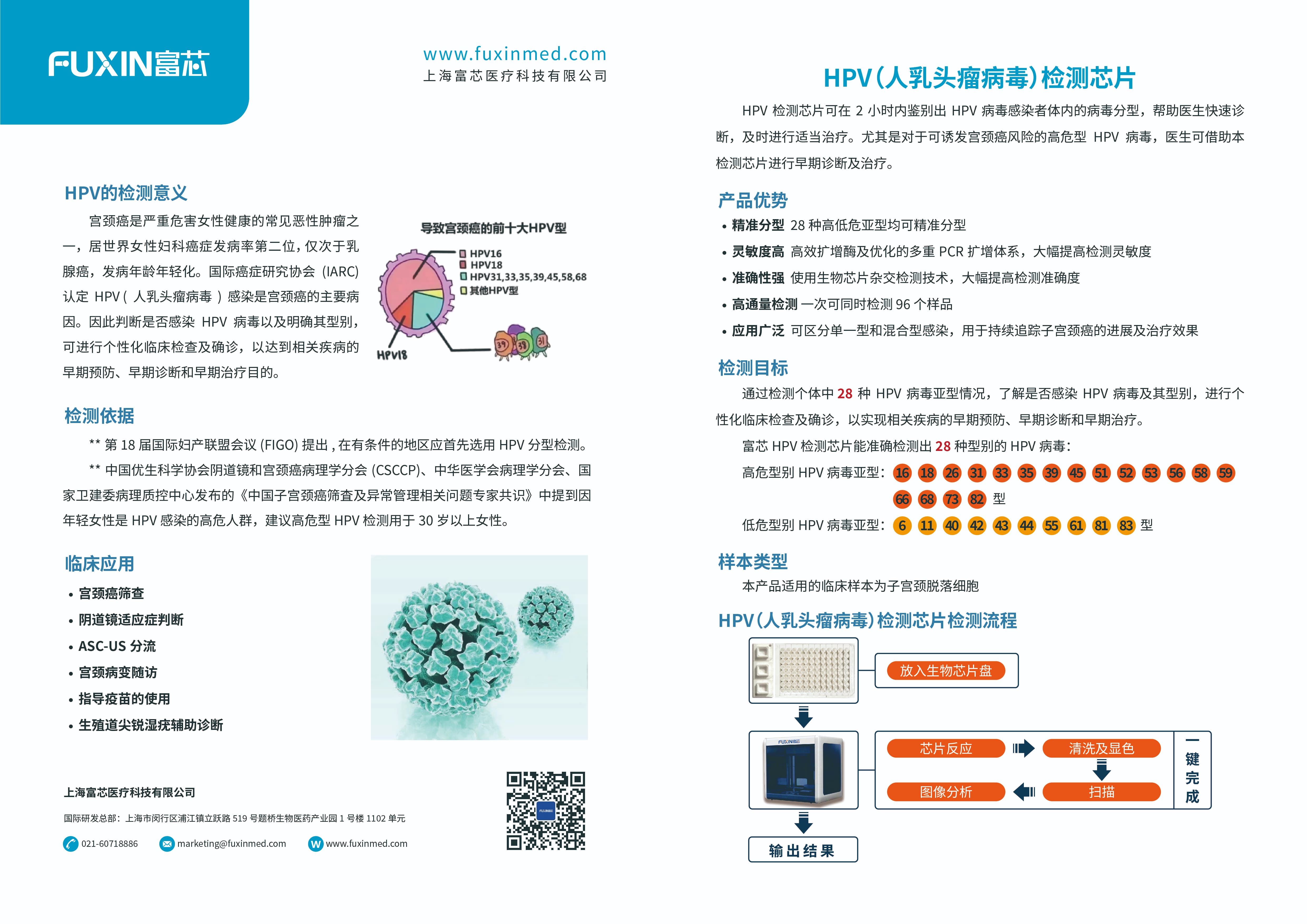 HPV（人乳头瘤病毒）检测生物芯片