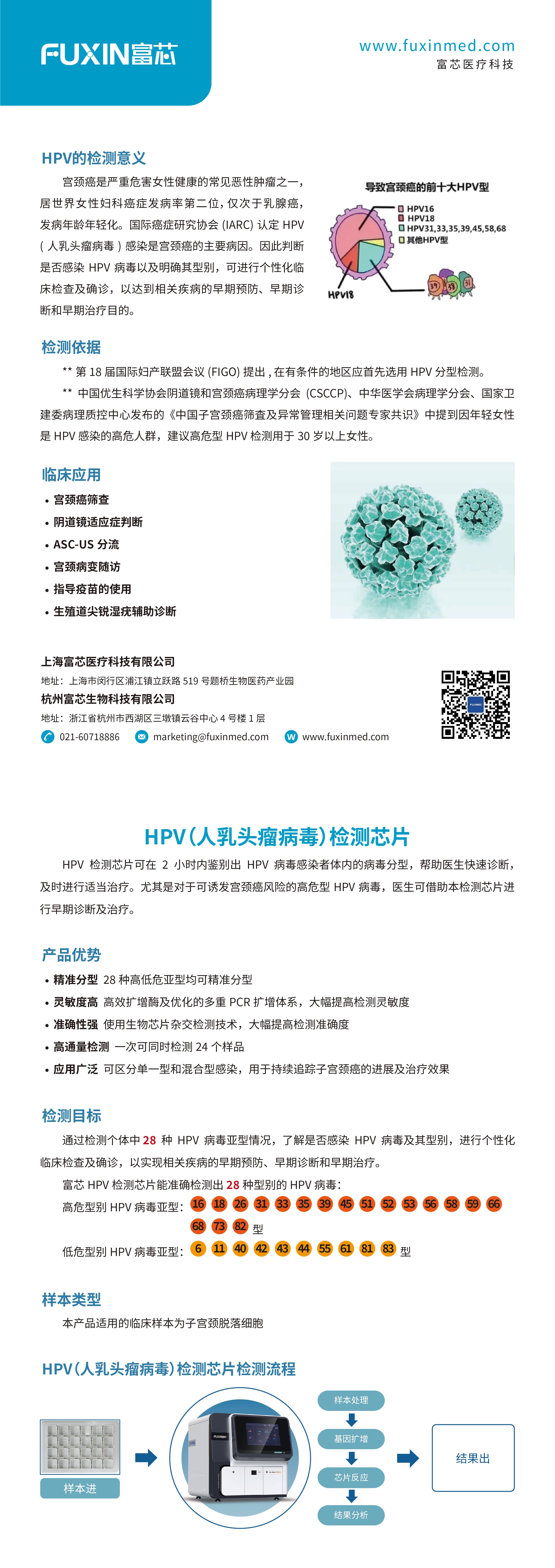 HPV病毒检测