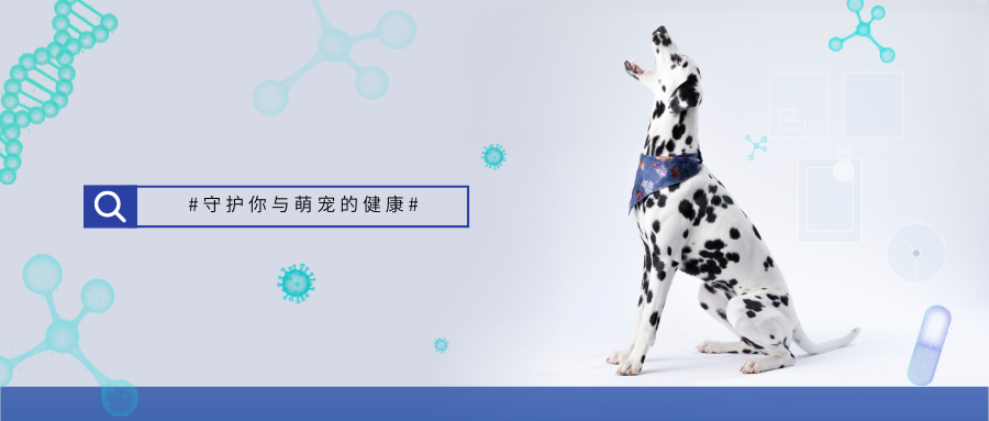 宠物经济进入“基因时代”：检测技术成为产业升级的核心引擎