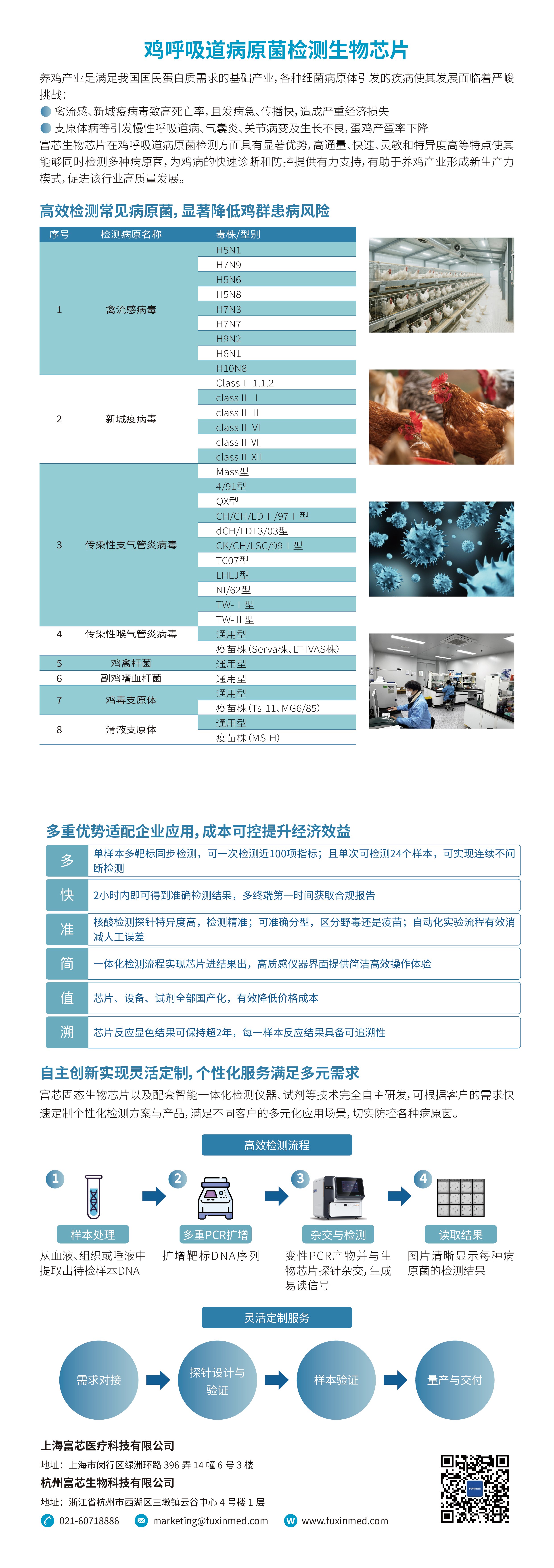 鸡呼吸道病原菌检测生物芯片