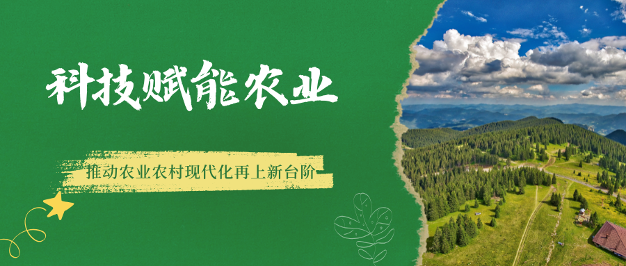 2026年中央一号文件：提升农业科技创新效能